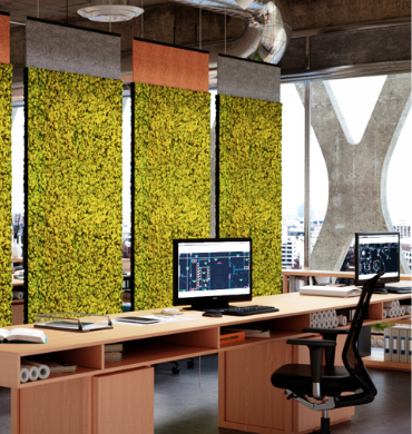 Bureau végétalisé
