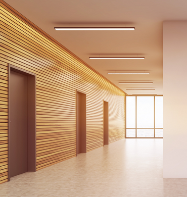 Portes de bureaux