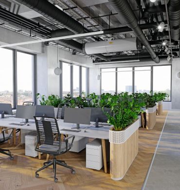 bien être acoustique au bureau et vert